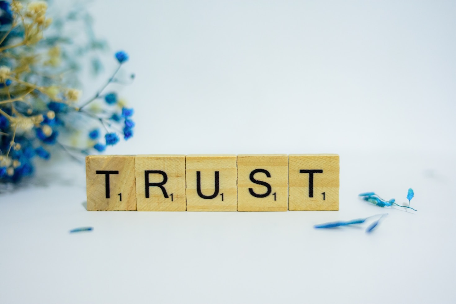 How Quality Drives Trust in Consumer Choices
